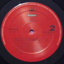 Load image into Gallery viewer, T99 : Nocturne (12")