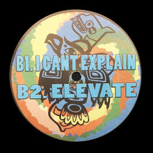 Load image into Gallery viewer, Alex Jungle : Elevate (12", EP, Ltd)