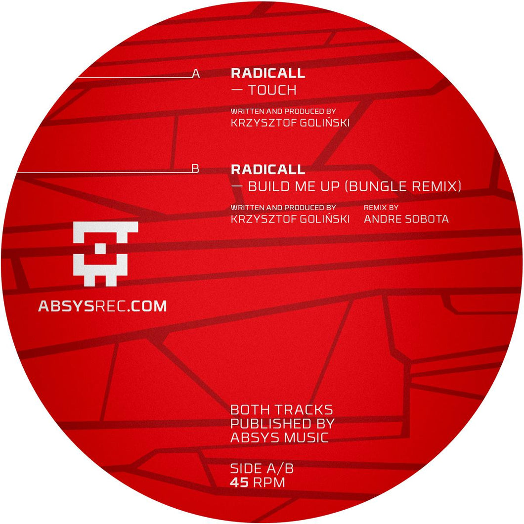 Radicall - Build Me Up [incl. bungle remix] - ABS12010 - Absys Records -12