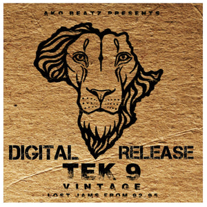 AKO Beatz - Tek 9 - Vintage - inc Pushing Back (Tom & Jerry Remix) - 2x12" vinyl LP - AKOBLP005
