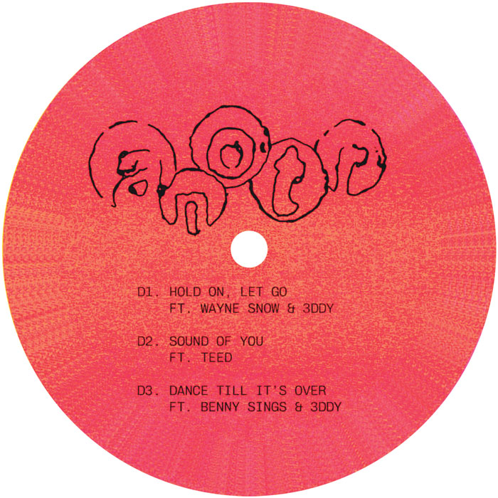ANOTR - Withness - ANOTRWLP01P side D label
