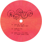 ANOTR - Withness - ANOTRWLP01P side D label