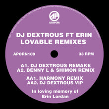 Load image into Gallery viewer, Audio Porn - DJ Dextrous Feat. Erin - Lovable Remixes - 12&quot; Vinyl - APORN100