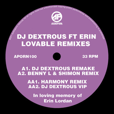Audio Porn - DJ Dextrous Feat. Erin - Lovable Remixes - 12