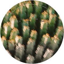 Load image into Gallery viewer, DEAS feat. DJ RUSH - Geeks On Hubbard EP - ARTS - ARTS052 - 12" Vinyl - Techno - Dutch Import