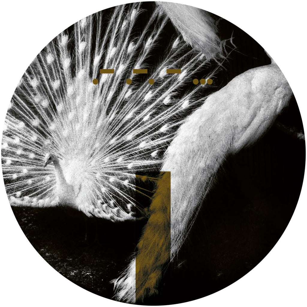 Introversion - Laeddis [stickered sleeve] - ARTS - ARTSCORE028 - 12" Vinyl - Techno - French Import