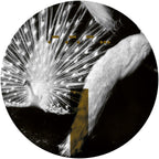Introversion - Laeddis [stickered sleeve] - ARTS - ARTSCORE028 - 12" Vinyl - Techno - French Import