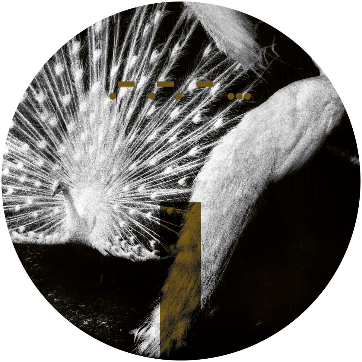 Introversion - Laeddis [stickered sleeve] - ARTS - ARTSCORE028 - 12" Vinyl - Techno - French Import
