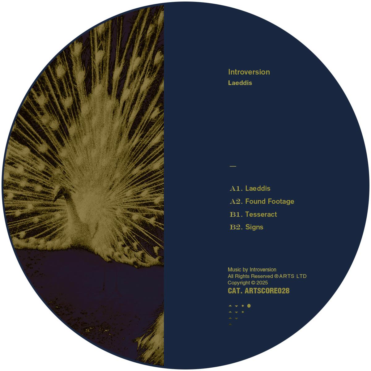 Introversion - Laeddis [stickered sleeve] - ARTS - ARTSCORE028 - 12" Vinyl - Techno - French Import