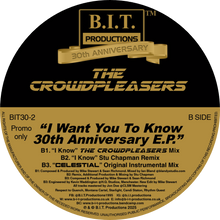 Load image into Gallery viewer, The Crowdpleasers – I Want You To Know 30th Anniversary E.P. - B.I.T Productions - 12" Gold and Black Vinyl - Deluxe - BIT30-2