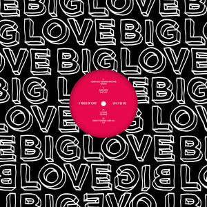 Seamus Haji, Moon Boots, DJ Fudge, Danou P - A Touch Of Love EP6 - Big Love - BL162 - 12" Vinyl - House
