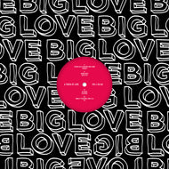 Seamus Haji, Moon Boots, DJ Fudge, Danou P - A Touch Of Love EP6 - Big Love - BL162 - 12