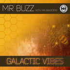 Mr Buzz With Mr Bradders - The Galactic Vibes EP - Knitebreed Records - BREED46 - Old Skool - 12" Yellow Vinyl Version