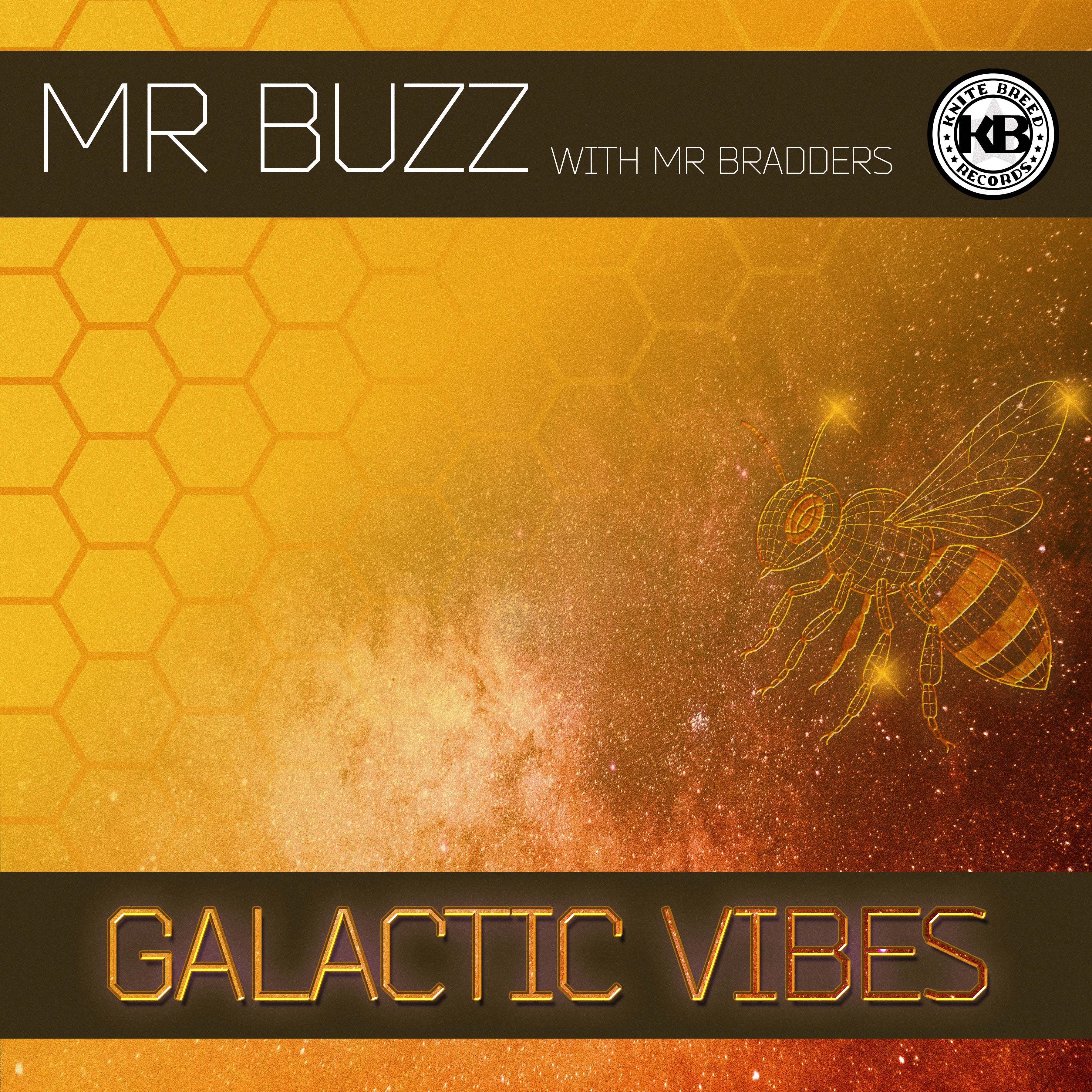 Mr Buzz With Mr Bradders - The Galactic Vibes EP - Knitebreed Records - BREED46 - Old Skool - 12" Yellow Vinyl Version