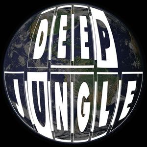 Deep Jungle -  Subjects - Inception/Gravity EP  - DAT048 - 12" Vinyl
