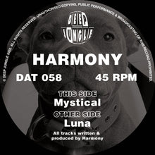 Load image into Gallery viewer, Deep Jungle -  Harmony -  Luna/Mystical - DAT 058 - 12&quot; Vinyl