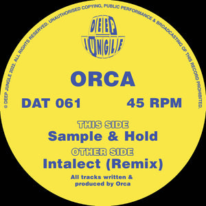 Deep Jungle -  Orca - Intalect (Remix)/Sample & Hold- DAT 061 - 12" Vinyl