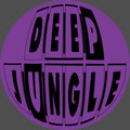 Subjects - We Run It EP - DAT064 side A label