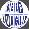 Dj Crystl - Deep Jungle Records - Crystlize '94 EP - DAT069 - 12" Black Vinyl