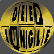 Harmony - Deep Jungle Records - In My Soul EP - DAT070 - 12