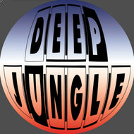 Subjects - Deep Jungle Records - Enchanted EP - DAT072 - 12