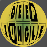 Dj Trace - Deep Jungle Records - By Any Means Necessary EP - DAT079 - 12