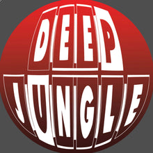 Load image into Gallery viewer, Subjects - Last Tune / City Of Gold - Deep Jungle Records - DAT084 - 12&quot; Black Vinyl