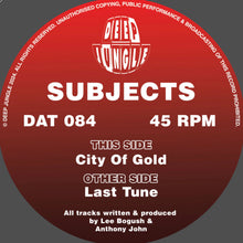 Load image into Gallery viewer, Subjects - Last Tune / City Of Gold - Deep Jungle Records - DAT084 - 12&quot; Black Vinyl