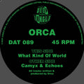 Orca - What Kind Of World EP - Deep Jungle - DAT089 - 12" Vinyl