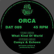 Orca - What Kind Of World EP - Deep Jungle - DAT089 - 12