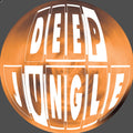 Harmony - Now Massive EP - Deep Jungle - DAT090 - 12" Vinyl
