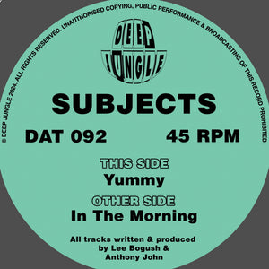 Subjects - In The Morning EP - Deep Jungle - DAT092 - 12" Vinyl