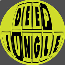 Load image into Gallery viewer, Kid Lib - Controlling Us EP - Deep Jungle - DAT093 - 12&quot; Vinyl