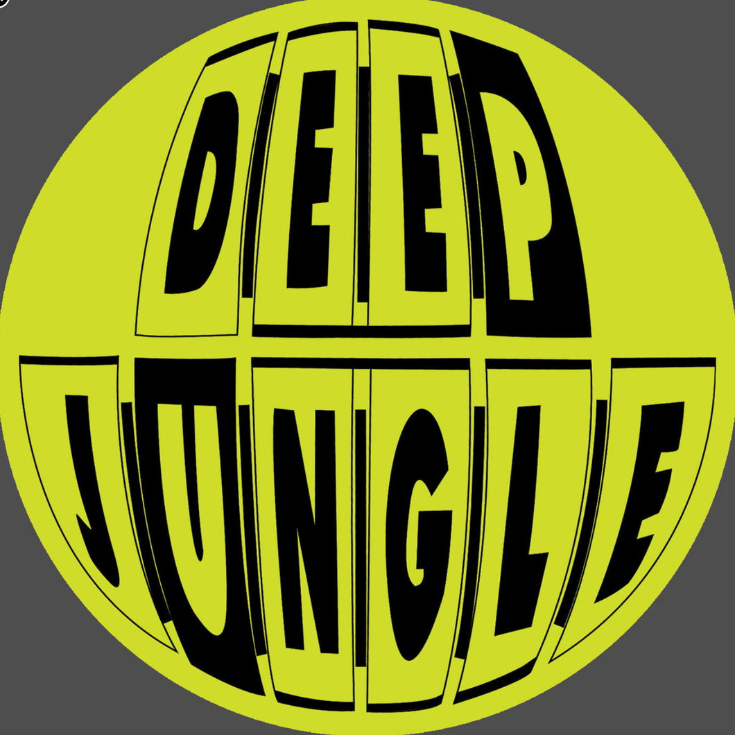 Kid Lib - Controlling Us EP - Deep Jungle - DAT093 - 12
