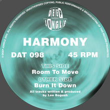 Load image into Gallery viewer, Harmony - Burn It Down EP - Deep Jungle Recordings - DAT098 - 12&quot; Black Vinyl