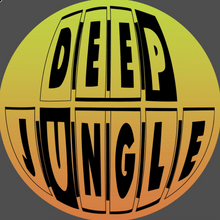 Load image into Gallery viewer, Danny C &amp; Mike Pears - The Truth EP - Deep Jungle Recordings - DAT099 - 12" Black Vinyl