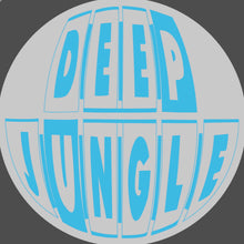 Load image into Gallery viewer, Subjects - Gonna Be EP - Deep Jungle Records - DAT102 - 12" Black Vinyl