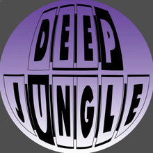 Load image into Gallery viewer, Devious D - The Groove EP - Deep Jungle Records - DAT103 -  12" Black Vinyl
