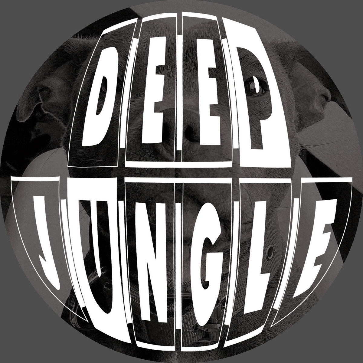Deep Jungle - Harmony - Luna/Mystical - DAT058SE - 12" Grey Marble Special Vinyl