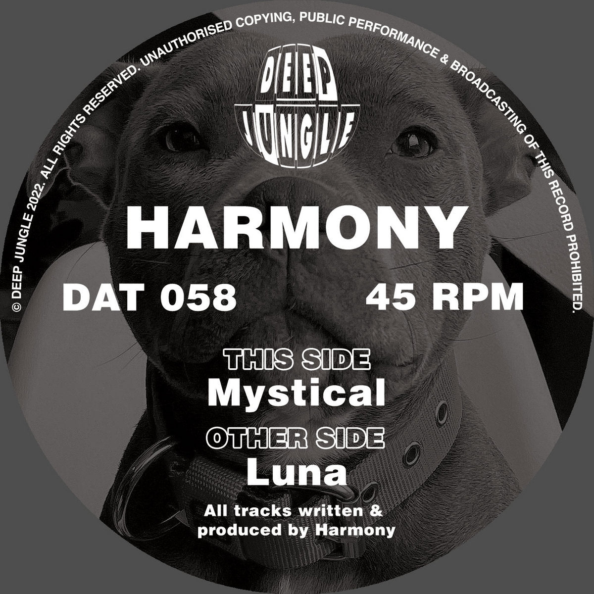 Deep Jungle - Harmony - Luna/Mystical - DAT058SE - 12" Grey Marble Special Vinyl