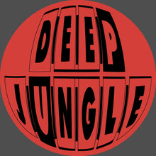 Load image into Gallery viewer, Pascal - Deep Jungle Records - Nosebleed EP - DAT071SE - 12&quot; Pink &amp; Red Special Vinyl