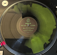 Load image into Gallery viewer, Orca - What Kind Of World EP - Deep Jungle - DAT089SE - 12" Green &amp; Black Special Vinyl