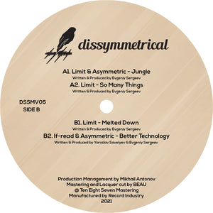 Various Artists - Dissymmetrical Vinyl 6 - DSSMV006 - 12"  Vinyl - Drum & Bass