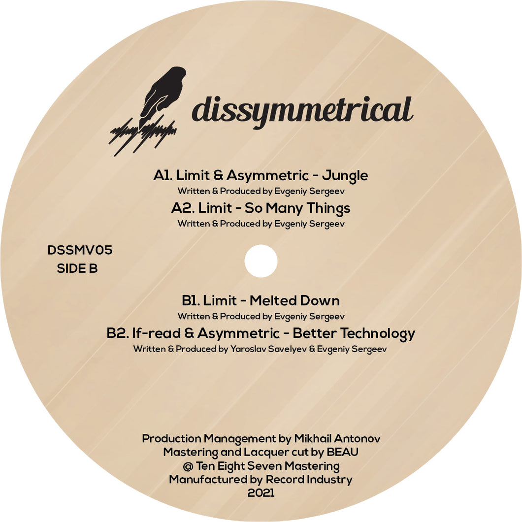 Various Artists - Dissymmetrical Vinyl 6 - DSSMV006 - 12