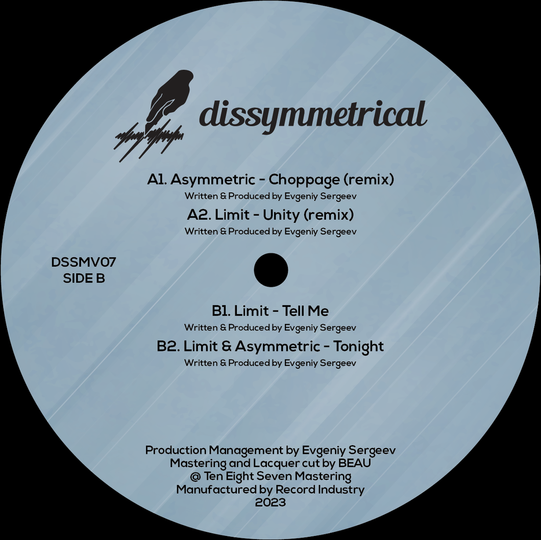 Various Artists - Dissymmetrical Vinyl 7 - DSSMV007 - 12