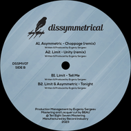 Various Artists - Dissymmetrical Vinyl 7 - DSSMV007 - 12