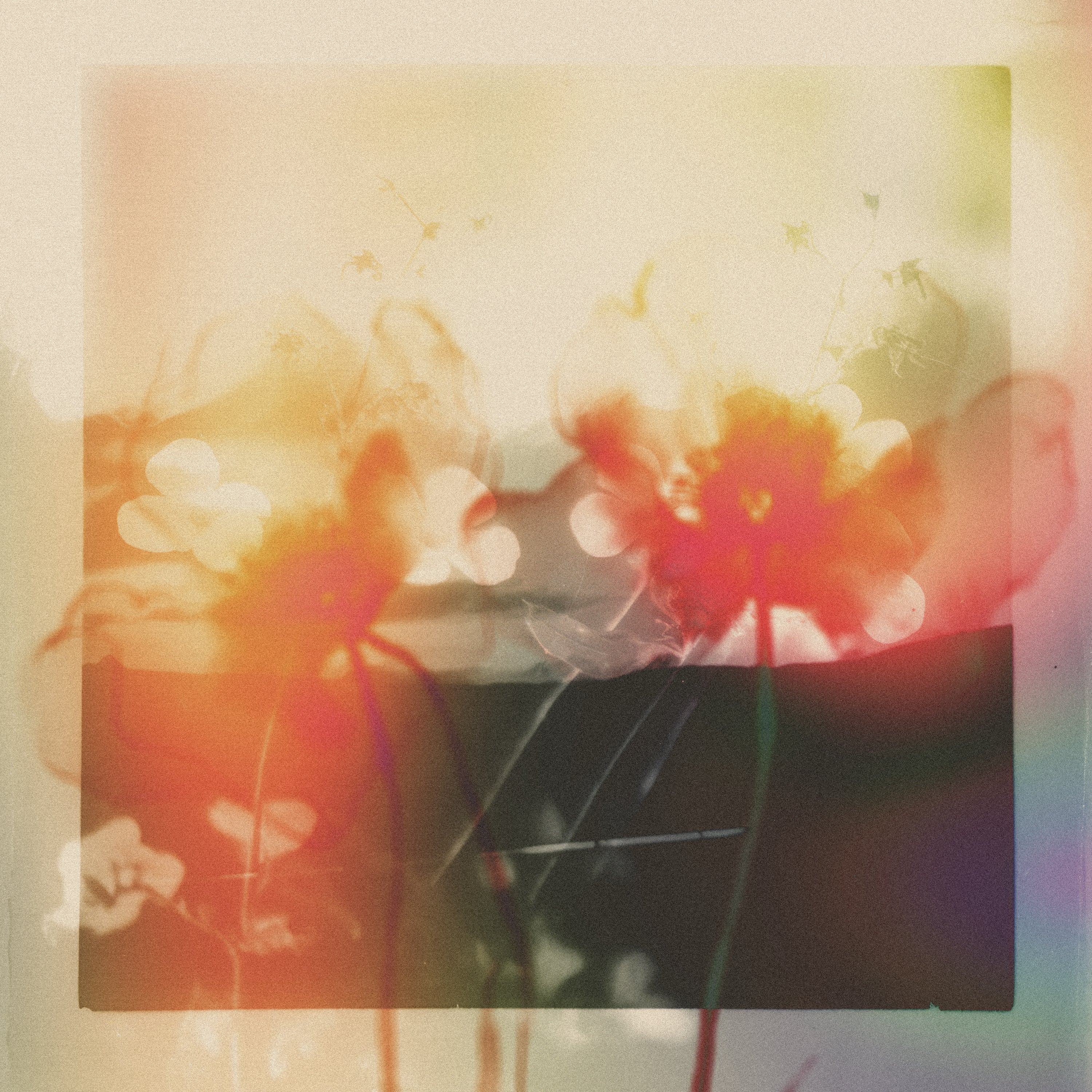 gyrofield - Akin / Mother - FABRICLIVE - FL002 - 12" Vinyl - Bass, Drum & Bass, Electronic, Experimental