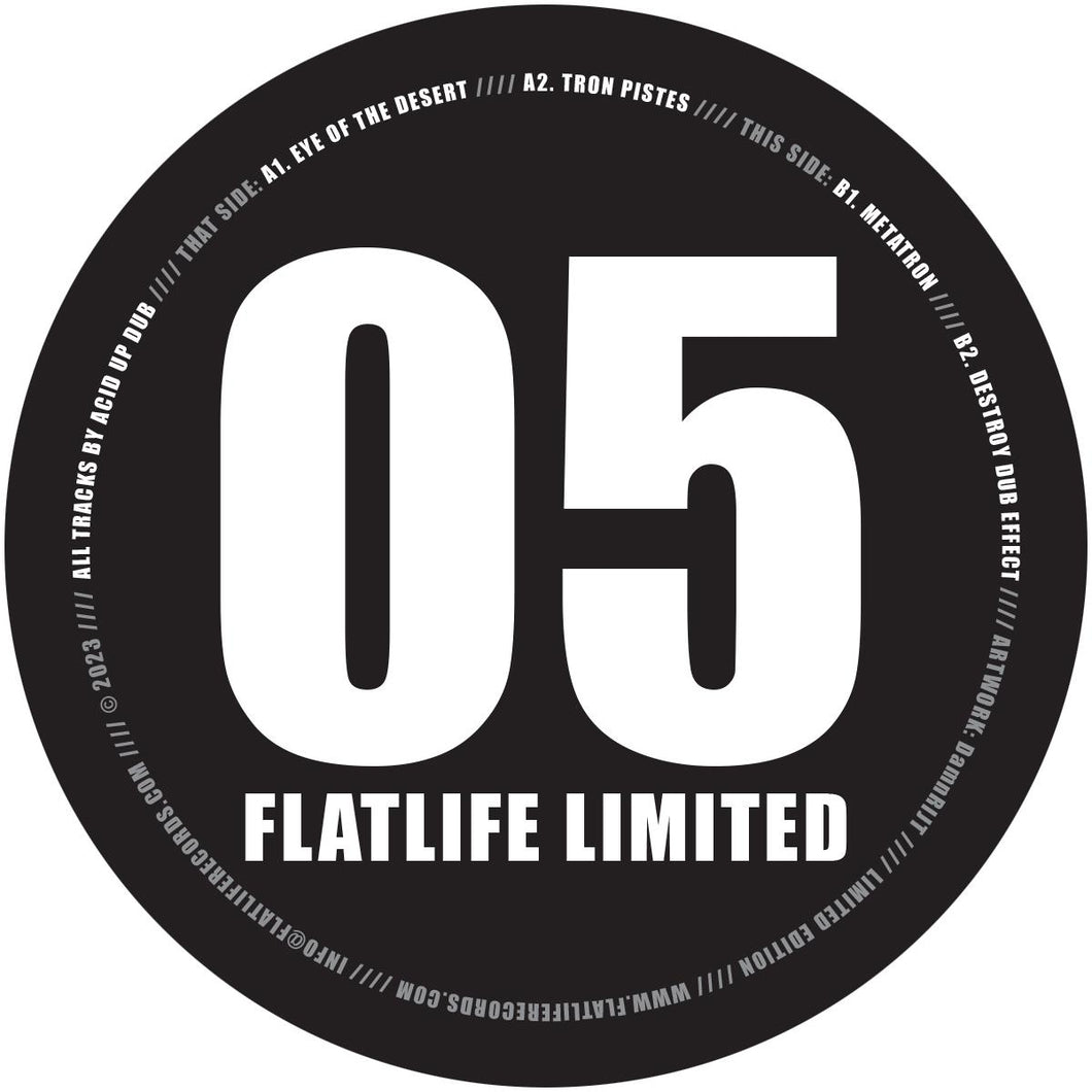 Acidupdub - Eye Of The Desert EP [marbled grey vinyl] - Flatlife Limited  Records - FLATLTD005 - 12