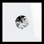 Sonar's Ghost - Rinse Out EP - FOUNDATIONS003 back
