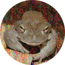 Load image into Gallery viewer, The Dred Knought - Bald Headed Dred - MPSV- 12&quot; Vinyl - FROG001